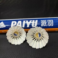 精包装ののアヒルはまっすぐに訓練してボールで王の口の食糧のボールを打つことができます。