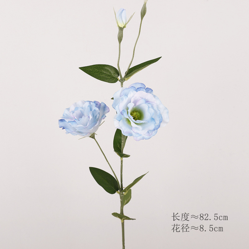 도라지꽃(파란색)