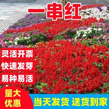 һ���t�N�ӸߗU����t���Ȼ��N���L���ڻ����̨�����׻��͟�����