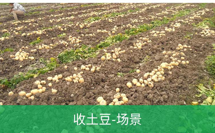 ba7930c0d8d7459c7d5a8945cfe288