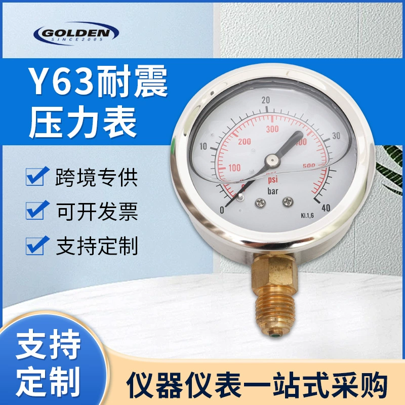 Масло-маслостойкий ударопрочный манометр вертикальный небольшой диаметр механический манометр из нержавеющей стали счетчик природного газа завод оптом