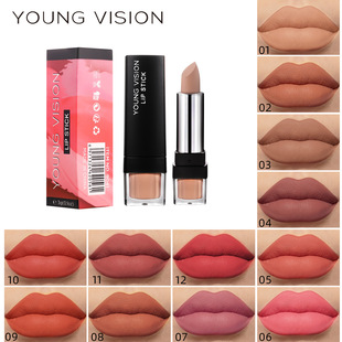 Young Vision Matte Matte 12-Color Single Lipstick Velvet Not Easy to Stick Lipstick Cross-Border Makeup