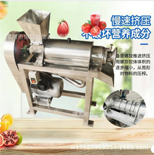香瓜椰果旋转打汁机梨膏柠檬苹果梨加工设备蔬菜水果破碎榨汁机