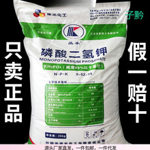 磷酸二氢钾肥料花卉家用果树农用花肥叶面肥