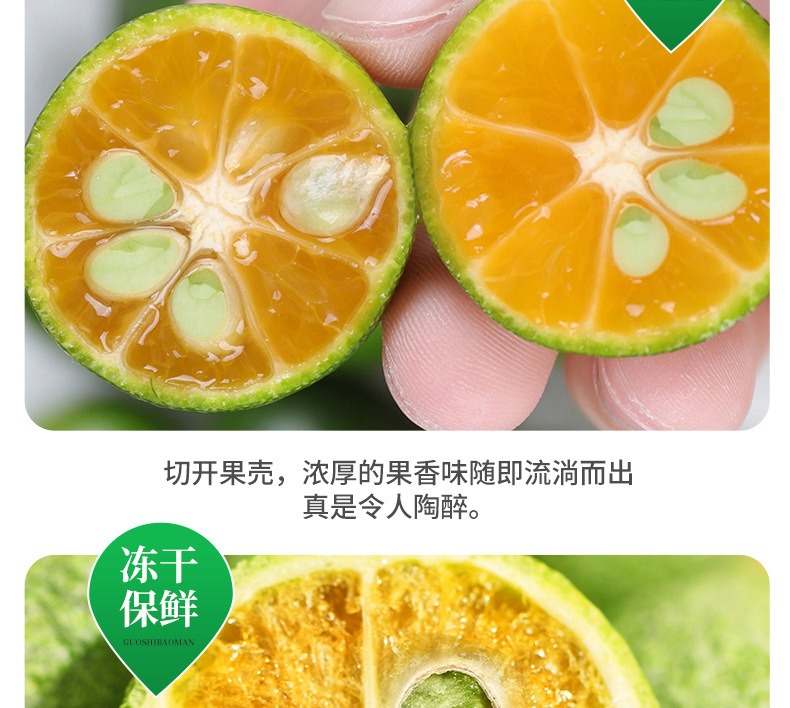 Freeze-Dried Green Kumquat Slices 30g Bottle Qing Ju Gan Citrus Tea Blend with Lemon and Passion Fruit in use