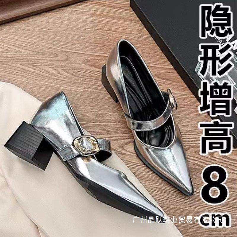 French Style Shoes for Small People, Women's Spring and Summer New Thick Heel Pointed Toe New Shoes, Silver High Heels