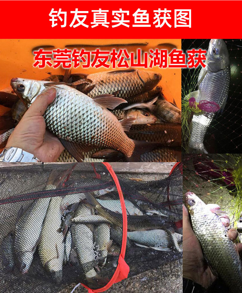 鲮鱼腥香详情页_07.jpg