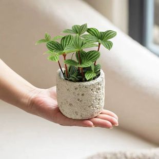 �k��������Ƥ݆�~�������؃����҃�ֲ������՚����Է�ݗ��Gֲ