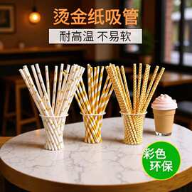 纸吸管一次性纸吸管烫金吸管系列可装饰可降解纸吸管厂家批发ebay