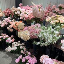 ɫϵ滨Yc͏dD÷֧ϻɻ[b