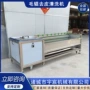 自动商用去皮生姜去皮机