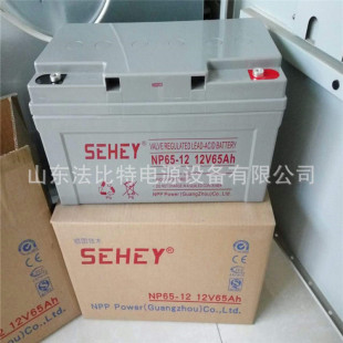 SEHEY����늳�NP65-12ֱ����12V65Ah ͨӍ��վ ȫ�º���