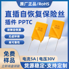 �������˿pptc30V5A5000mAֱ���Իָ�����˿RUEF500 X30UF500