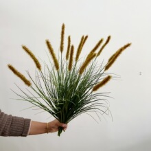 ��� ����3�^��β�� ���������[�� ɭϵ��cܛ�b�ҾӾƵ��Ĕz�ٻ�