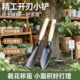 清洁球/刷;厨房小工具;衣钩/挂钩