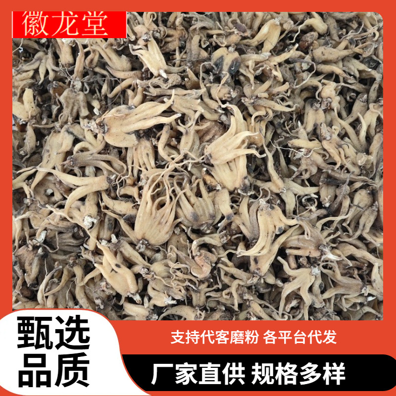 手掌参 佛手参阴阳参西藏林芝海拔4600米晒干佛手参个 各种冷背