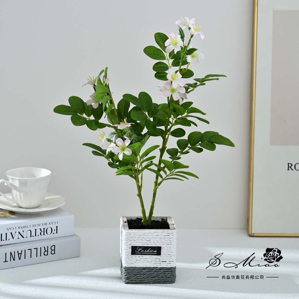 2498527 Bonsai de flores de dos árboles de té (pot de madera)