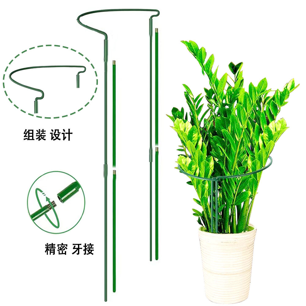 更新牙款半圆主图