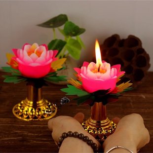 Ϟ�T���ßo���oζ�ز����t��Ϟ��ӟ�tСϞ�T�����hϞ�D�T̨