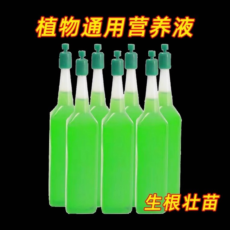 栄養液植物共通型緑羅富貴竹発財樹多肉水培養花卉緑植盆植花肥料|undefined