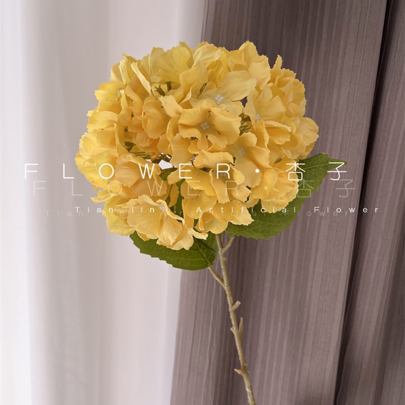 노란색