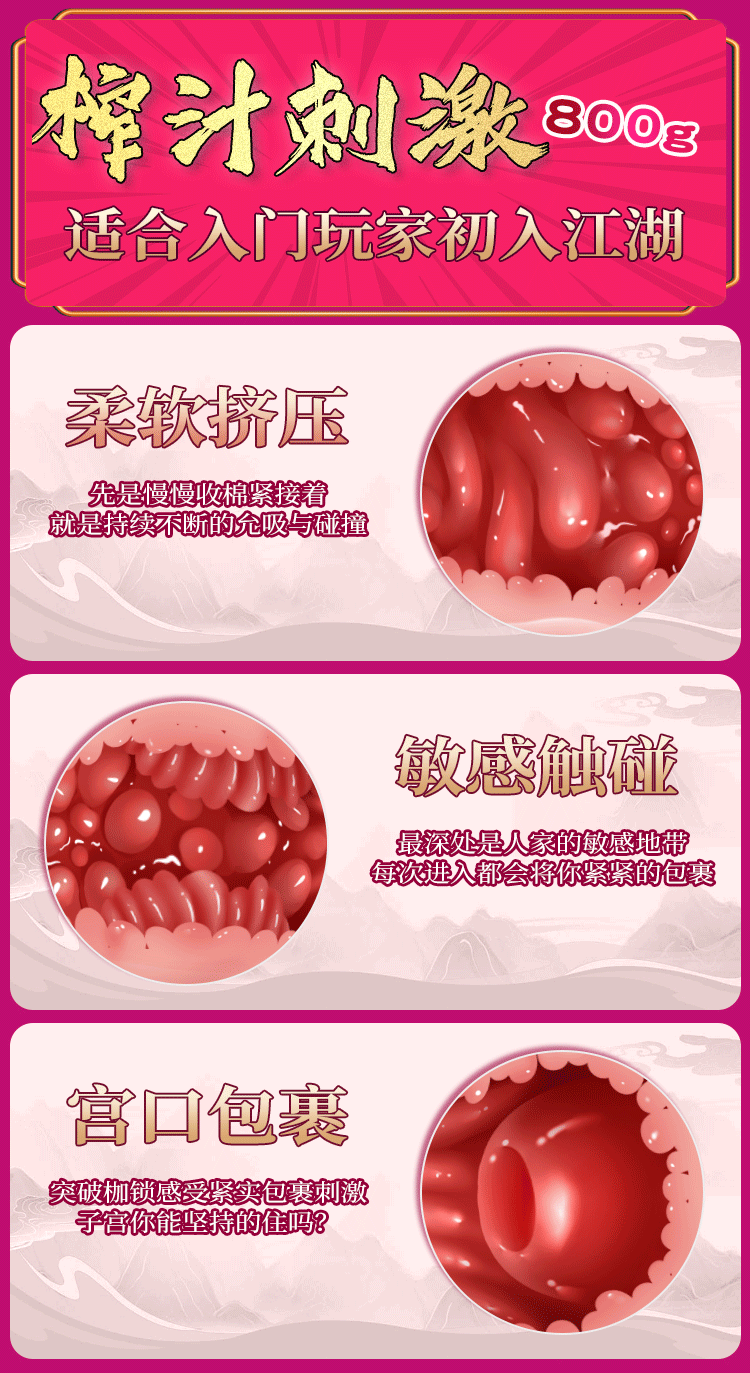 Realistic TPE Male Masturbator Cup with Anime-Style Molded Vagina, Manual Control — detail image 6