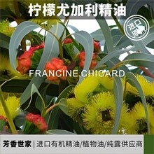 【芳疗级别】葡萄牙进口柠檬尤加利桉叶精油香薰香料原料批发
