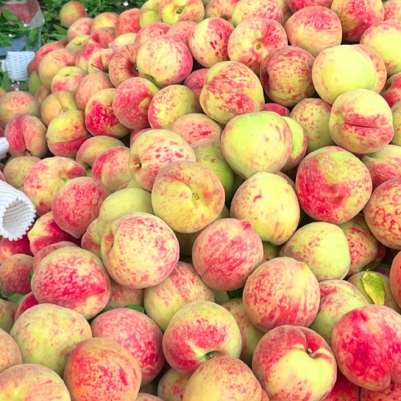 Rare Fresh Blood Peach Red-Fleshed Peach from Hubei, Freshly Picked Whole Box, Seasonal Crisp Peach for Pregnant Women, Not Nectarine