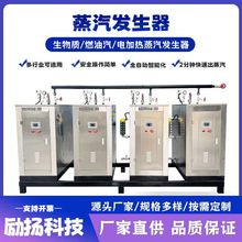 電加熱蒸汽發生器 商用立式高溫蒸煮蒸汽機 熱水鍋爐 食品蒸煮