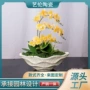 盆栽欧式客厅园艺花盆