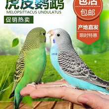 �W�^���B������B����С�B녰��W�^��С�͕��fԒ���B��Ƥ�W�^����