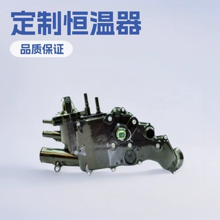 SKTOO品牌批发1336.W7 适用于标致雪铁龙汽车恒温器 节温器总成