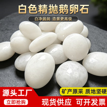 白色精抛鹅卵石庭院铺路园林造景白石子雨花石鱼缸造景现货鹅卵石