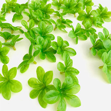 3DzGֲ~ DIY~R~ Ҿӈ@b~ӏSl