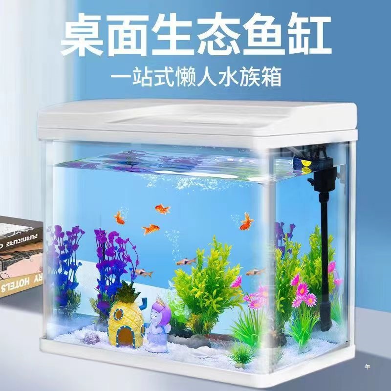 亚马逊跨境鱼缸客厅家用小型玻璃鱼缸免换水水族箱自循环生态鱼缸