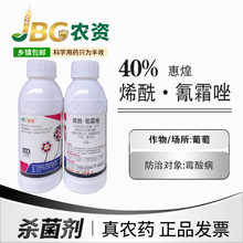 ݻ 40%ϩ·˪ ùᲡ500