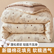 新款a类印花水洗棉被子被芯新疆棉花被春秋冬被加厚保暖礼品被