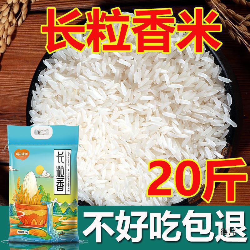 大米10一袋20斤长粒新米晚稻丝苗米蛋炒饭猫牙米煮饭10斤批发|undefined
