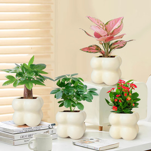 Nordic Green Plant Ins Cloud Pot Office Living Room Potted Desktop Ornaments Simple Creative Internet Celebrity Flower Plants