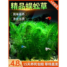 �~���쾰����ˮ�ݻ��w���Bƿ���ݸ��b��~���ֲ�����o�