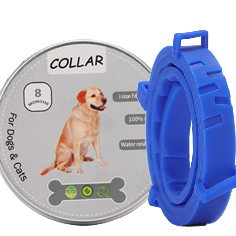 회색 상자 긴 파란색 칼라