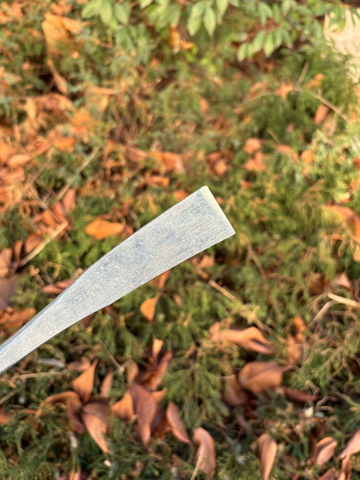 微信图片_20240123103010