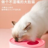 Керамическая чаша для свиньи Pan