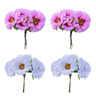 �羳�r��С�������㲼�����޾�̫ꖻ�Ұ�����ﻨ���L�^��h���