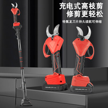 電動修枝剪果樹園藝園林電剪刀充電式鋰電池樹剪刀剪枝神器修枝剪