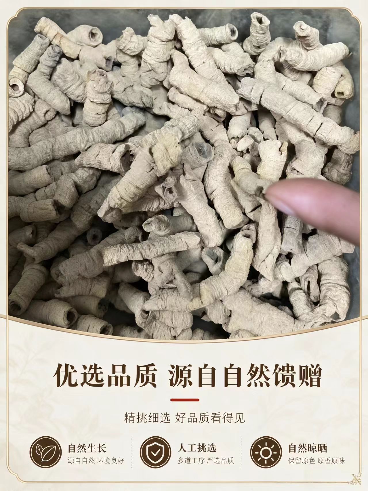 Dried Morinda Root Ba Ji Tian 1000g Whole Root Slices for Decoction and Herbal Wine overview