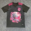 Japan 21