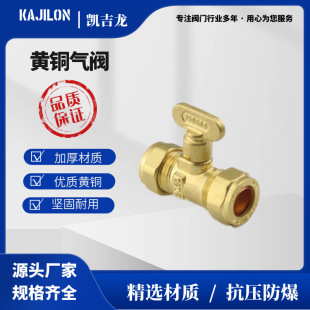 Դ�^�S��  �S�~���y���y�Ӻ�ɫ