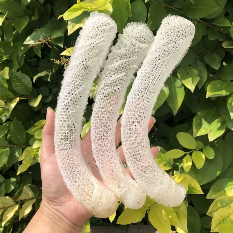 Natural net snail and old-born conch shrimp framed picture frame wedding men and women couple wedding love gift Natural net snail and old-born conch shrimp framed picture frame wedding men and women couple wedding love gift