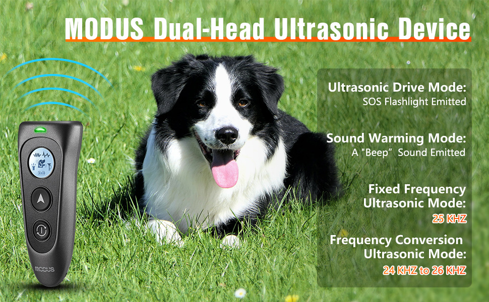 c591bf85-f02c-4dc3-9758-720d4b